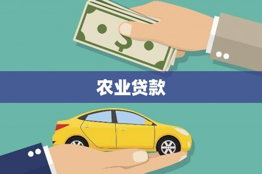 响水农业贷款