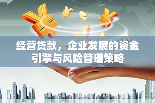 响水经营贷款，企业发展的资金引擎与风险管理策略