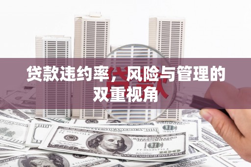 响水贷款违约率，风险与管理的双重视角