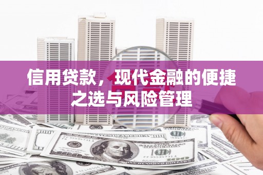 响水信用贷款，现代金融的便捷之选与风险管理