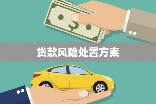响水贷款风险处置方案
