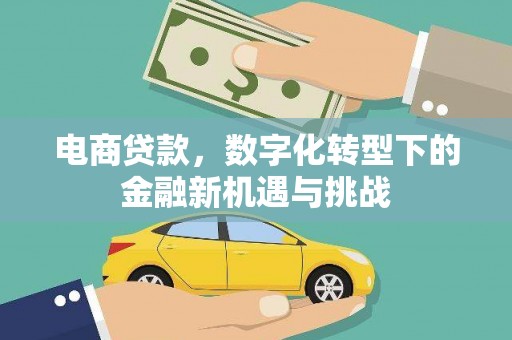 响水电商贷款，数字化转型下的金融新机遇与挑战