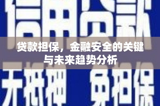 响水贷款担保，金融安全的关键与未来趋势分析