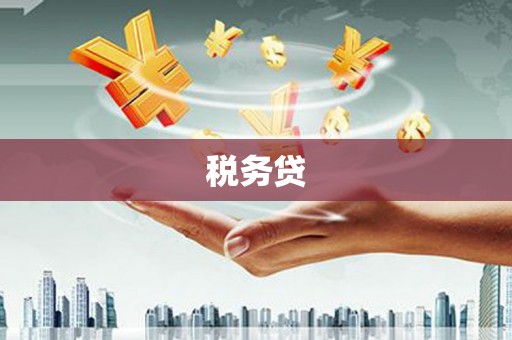 响水税务贷