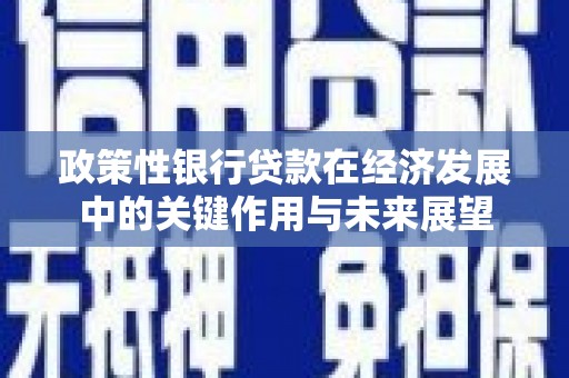响水政策性银行贷款在经济发展中的关键作用与未来展望