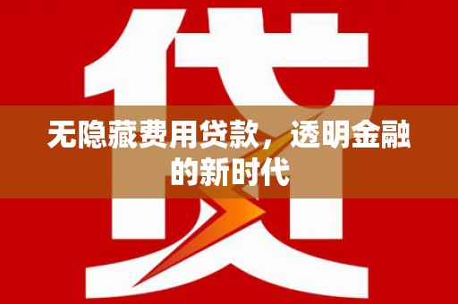 响水无隐藏费用贷款，透明金融的新时代