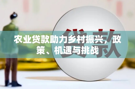 响水农业贷款助力乡村振兴，政策、机遇与挑战