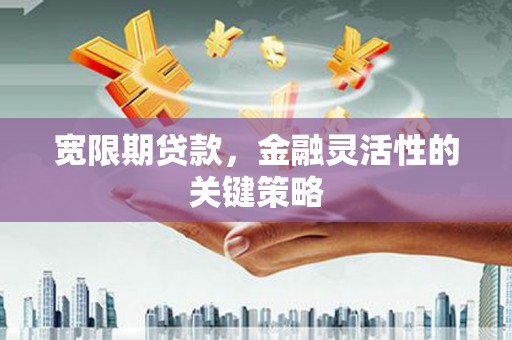 响水宽限期贷款，金融灵活性的关键策略