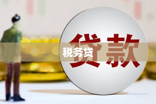 响水税务贷