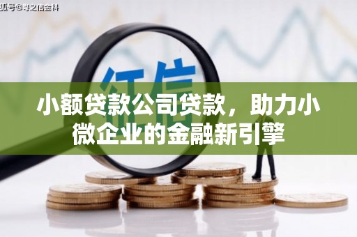 响水小额贷款公司贷款，助力小微企业的金融新引擎