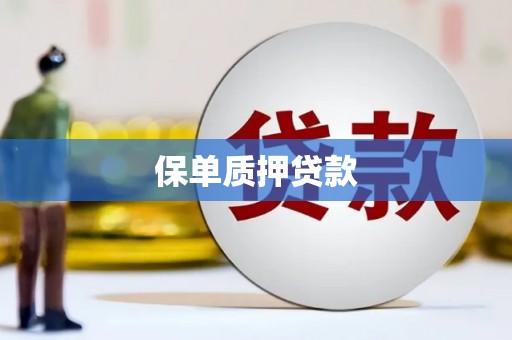 响水保单质押贷款