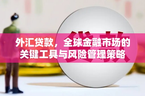 响水外汇贷款，全球金融市场的关键工具与风险管理策略
