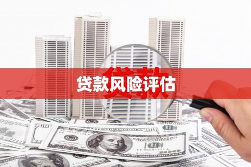 响水贷款风险评估