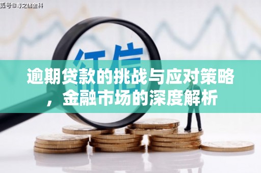 响水逾期贷款的挑战与应对策略，金融市场的深度解析
