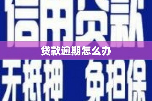 响水贷款逾期怎么办