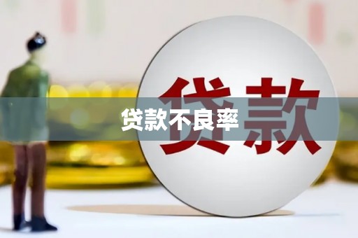 响水贷款不良率