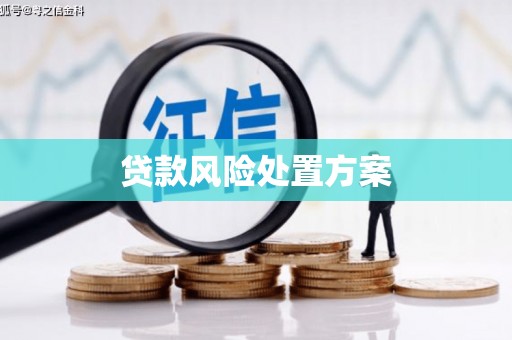 响水贷款风险处置方案