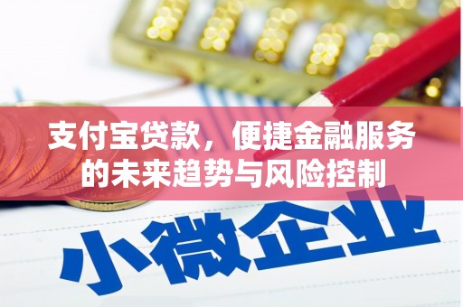 响水支付宝贷款，便捷金融服务的未来趋势与风险控制