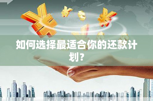 响水如何选择最适合你的还款计划？