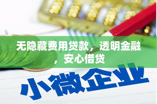 响水无隐藏费用贷款，透明金融，安心借贷