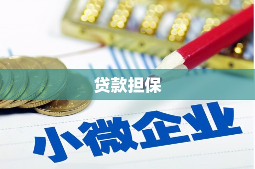 响水贷款担保