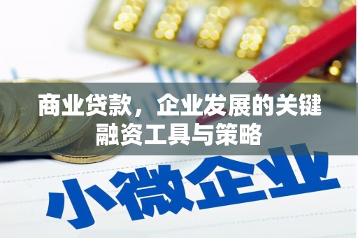 响水商业贷款，企业发展的关键融资工具与策略