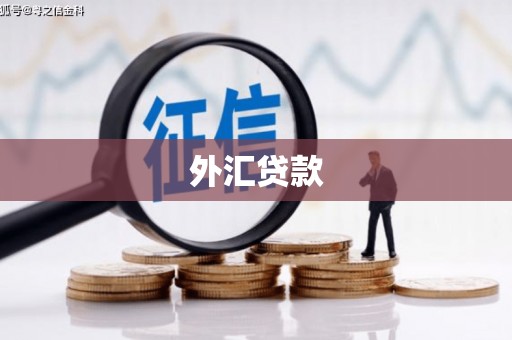 响水外汇贷款