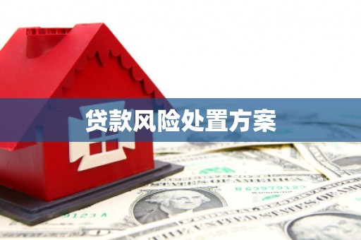 响水贷款风险处置方案