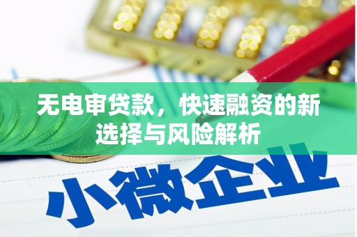 响水无电审贷款，快速融资的新选择与风险解析