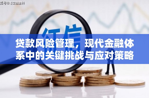 响水贷款风险管理，现代金融体系中的关键挑战与应对策略