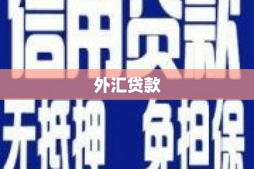 响水外汇贷款