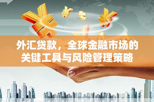 响水外汇贷款，全球金融市场的关键工具与风险管理策略