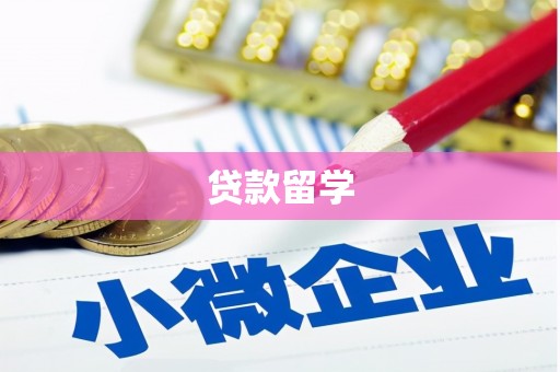 响水贷款留学