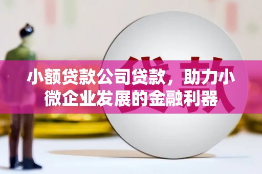 响水小额贷款公司贷款，助力小微企业发展的金融利器