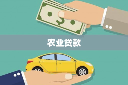 响水农业贷款
