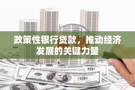 响水政策性银行贷款，推动经济发展的关键力量