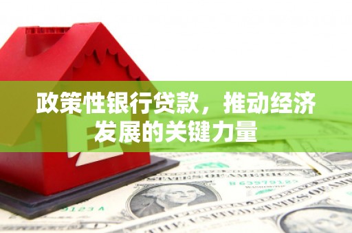 响水政策性银行贷款，推动经济发展的关键力量