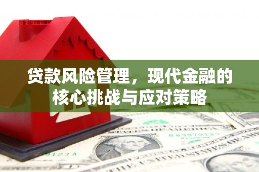 响水贷款风险管理，现代金融的核心挑战与应对策略