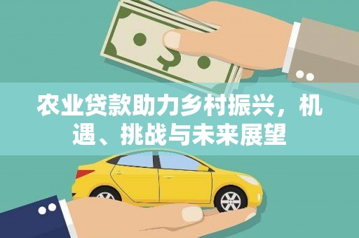 响水农业贷款助力乡村振兴，机遇、挑战与未来展望