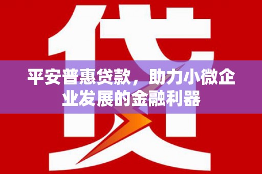 响水平安普惠贷款，助力小微企业发展的金融利器