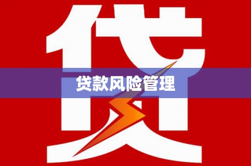 响水贷款风险管理