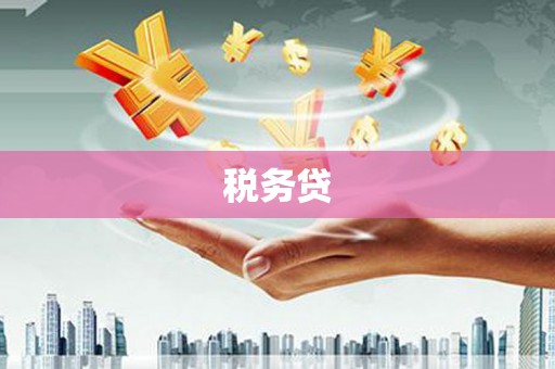 响水税务贷