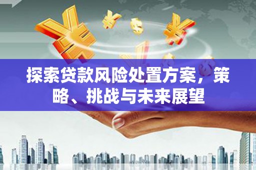 响水探索贷款风险处置方案，策略、挑战与未来展望