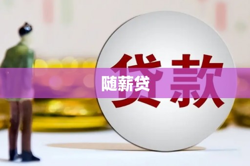 响水随薪贷