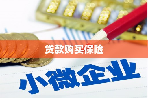 响水贷款购买保险