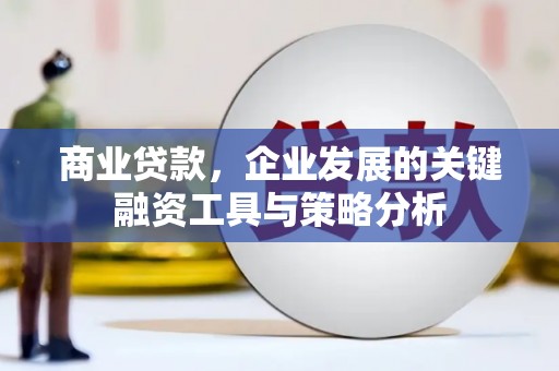 响水商业贷款，企业发展的关键融资工具与策略分析