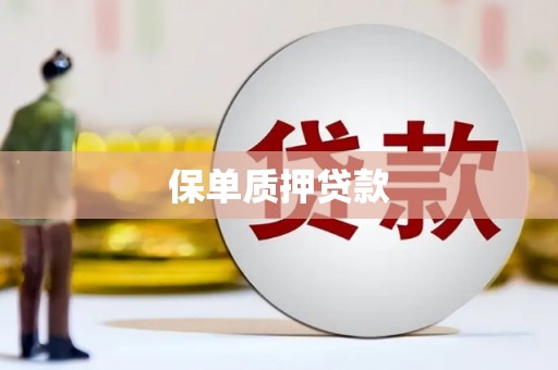 响水保单质押贷款