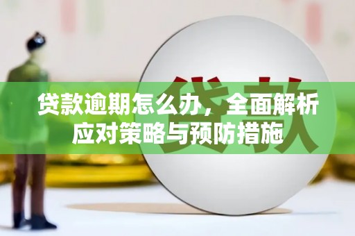 响水贷款逾期怎么办，全面解析应对策略与预防措施