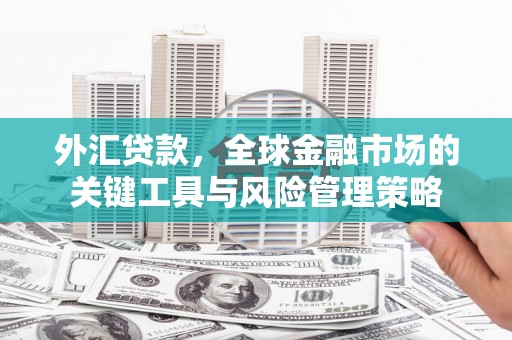 响水外汇贷款，全球金融市场的关键工具与风险管理策略
