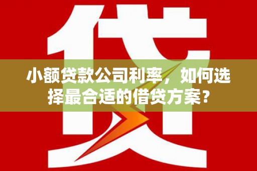 响水小额贷款公司利率，如何选择最合适的借贷方案？